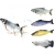 Import 2021 Factory wholesale Flopping Fish Simulation Wiggle Fish Catnip Toys Electric Cat Kicker Toy Moving Fish Cat Toy from China