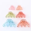2021 most popular large mediem and small size Lucency Mist side matte hair claw clips octopus hair clips
