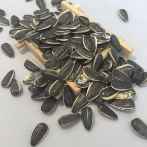 2172 Kuihuazi Wholesale Chinese Sunflower Kernels with Competitive Price