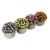 Import 5 Pcs Artificial Succulent Plants with 2 Pcs Plant Hangers from China