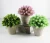 Import 5pcs Wholesale Cheap Indoor Mini Artificial Succulent Plants Potted for Home Decor from China