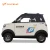 Import 6064 Hot Sale Powerful Adults Mini Cheap Electric Car with Lithium or Lead-ascid Battery from China