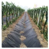 80g/90g/100g Polypropylene   Woven geotextile PP Ground Cover Supply by Sincere Factory Price