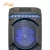 AMAZ AL9310 High-quality Rechargeable Portable Party Speaker Wireless BT Speaker 2*10 inch