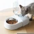 Import Amazon Hot selling dual durable plastic automatic food water Feeder Waterer pet feeding bowl cat bowl puppy dog bowl from China
