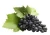 Import Anti-aging skin care grape seed extract from China