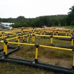 aquaculture trap and grouper cage farming