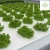 Import Aquaponics, aeroponics and hydroponics systems for intensive agriculture for wholesale producers from Spain