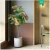 Import Artificial Landing Plant Green Eucalyptus Garden Ornaments Potted Ficus Tree from China