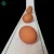 Import Automatic chicken cage egg collection from china system from China