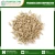 Import Barley Seeds Malt Grain Supply India from India