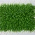 Import Beautiful design Artificial plant hanging wall vertical green grass wall from China