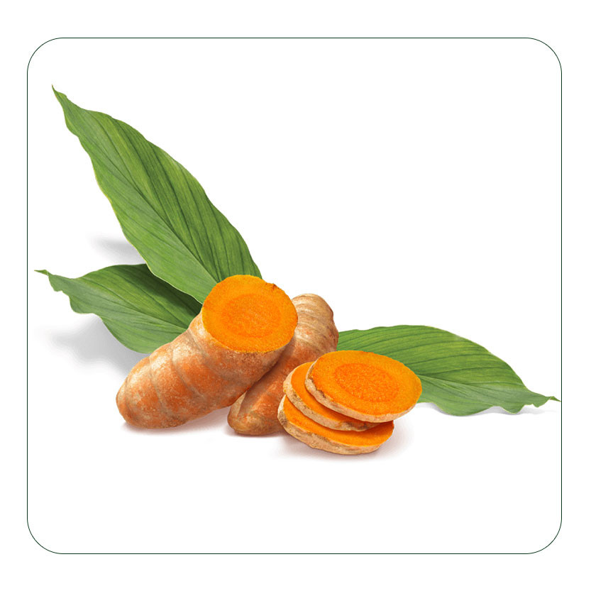 Buy Best Price Bulk Organic Turmeric Powder Manufacturer / Turmeric ...