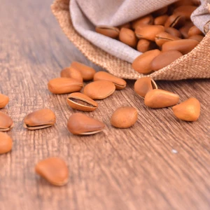 Best raw pine nuts siberian exporter pine nuts russia