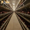Best Sale Egg Chicken Poultry Farming Equipment Layer Cages in south africa
