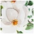 Import Best selling white flower handmade metal wall art economical custom design from China