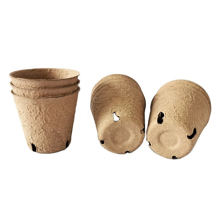 Biodegradable seed paper packaging nursery cup vegetable seed nursery pot