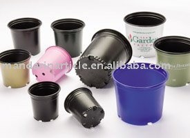 Black plastic nursery pots