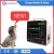 Import Blood Testing equipment  Large Screen Veterinary Capnography Patient Monitor with 12.1 inch Screen and High Resolution from China