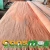 Import BNG face veneer similar to gurjan veneer natural wood veneer from China