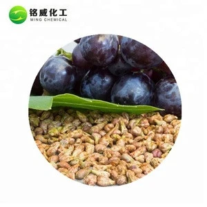 Bulk 100% Water Soluble Grape Seed Extract 95% Procyanidine Powder