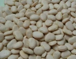 Butter Beans