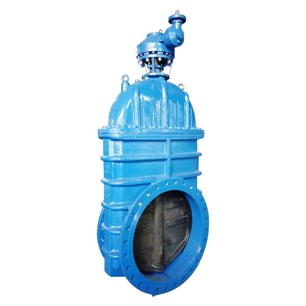 Buy Cast Iron/ductile Iron Resilient Seated Gate Valve,gate Valve Dn ...