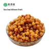 certified-organic and wild freezed Seabuckthorn  or sea buckthorn Fruit  berry