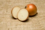 China Fresh Yellow Farm Fresh Onion