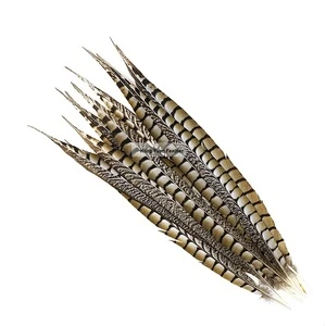 China Manufacturer Exporter High Prime Quality Lady Amherst Pheasant Tail Feathers