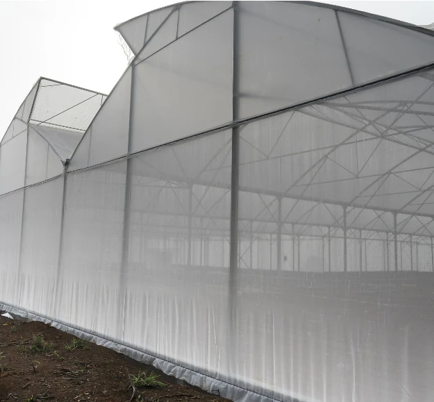 China Supplier Cheap Price Tunnel Greenhouse Light Deprivation Greenhouse Plastic Film