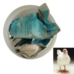 China suppliers poultry feed layer chicken feed additive to increase eggs production