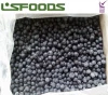 China wholesale IQF Bulk frozen blueberry fruits