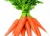 Import Chinese Fresh Carrot from China