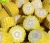 Import Chinese Grade A Bulk Super Sweet Corn Common Yellow Corn Maize from China