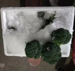 Chinese wholesale fresh broccoli health vegetable