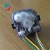 Import Clothes Dryer Timer/15 min 6 wires Washing Machine Timer/washing machine timer with wires from China