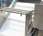 Commercial Air Bubble Fruit Vegetable Washing Machine Bubble Tomato Washer