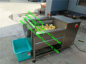 Buy Commercial Brush Model Vegetable Fruit Washing Machine / Ginger ...
