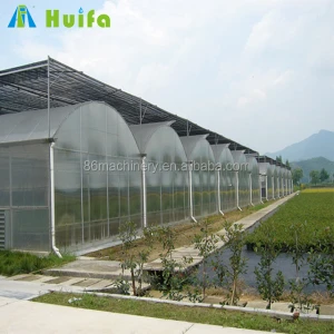 Commercial Tomato Greenhouse Agricultural Farming Equipment