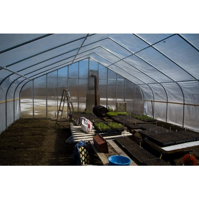 commerical steel frame agricultural garden green houses with good price