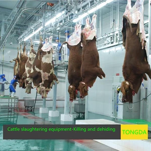 conveyor line -Cattle slaughter line