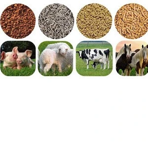 cotton seed meal cake animal feed