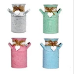 Creative Color Decor Wedding  Home handle Gardening  Metal Iron Flower Pot  Bucket Planter
