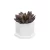 Import Custom Hexagon Ceramic Planter Pot with Tray from China