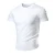 Import Custom logo Mens Cotton Blank Plain T-Shirt from China