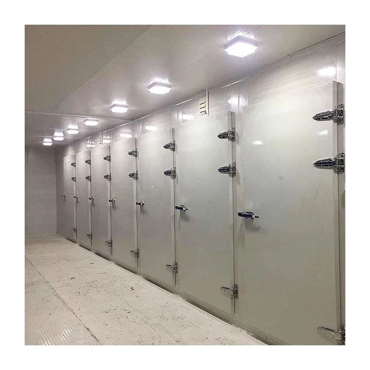 Customized installation products cold storage refrigerated room project
