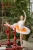 Import DanyiBallet Professional Women Adults Dance Performance Wear Half Ballet Tutu Pancake  7 Layers Training Skirt from China