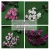 Import Decoration Solar Led Artificial Phalaenopsis Orchid Flower With Long Stem from China