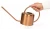 Import Decorative Copper Colored Watering Can - Easy Pour Gooseneck Spout for Fast and Easy Indoor Plant Watering from China